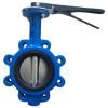 lug butterfly valve